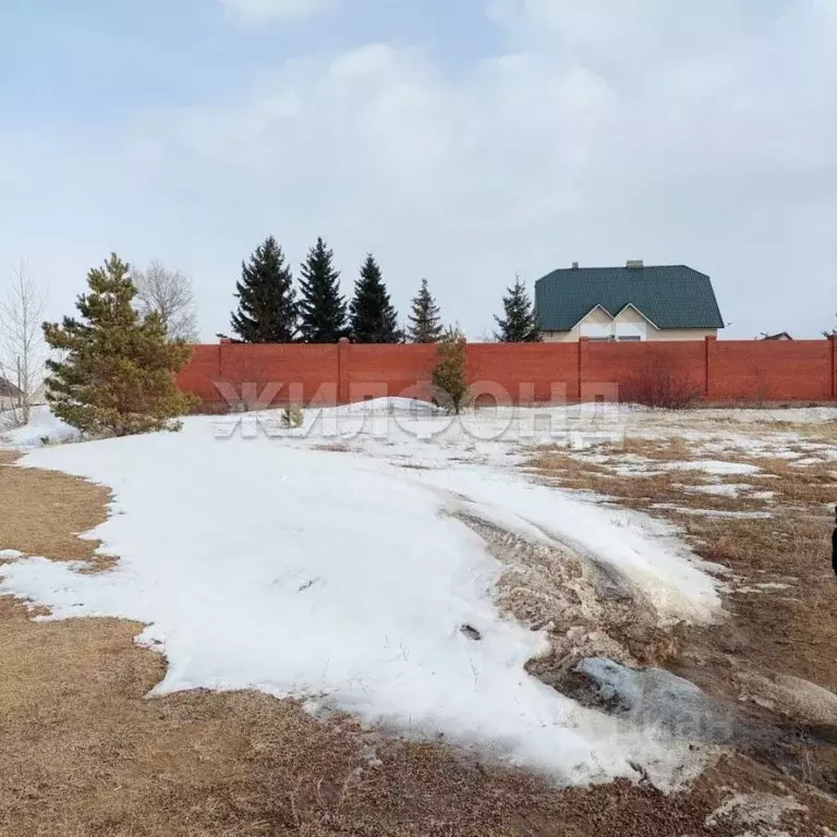 Участок в Новосибирская область, Ордынское рп ул. Набережная (12.0 ... - Фото 1