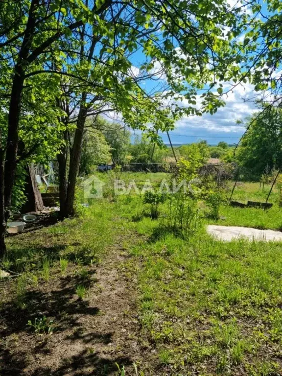 Участок в Амурская область, Благовещенск Мукомол СТ,  (10.3 сот.) - Фото 0