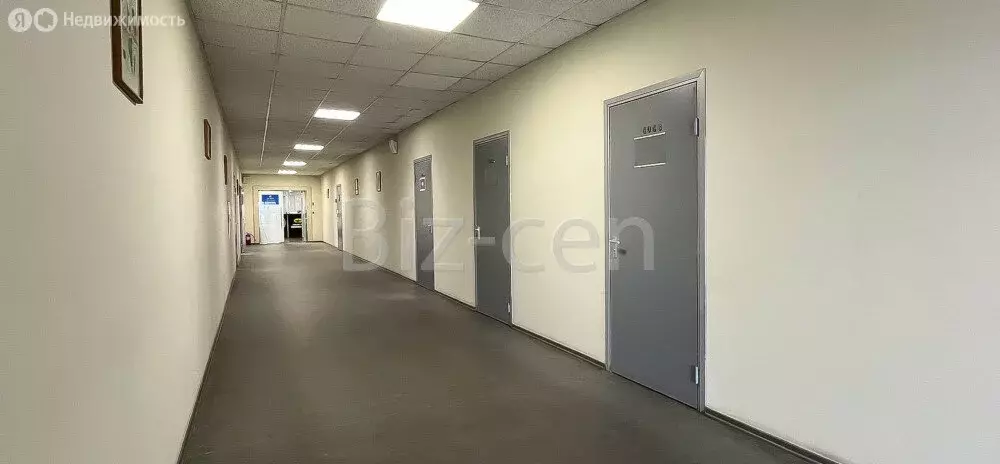 Офис (566.5 м) - Фото 2