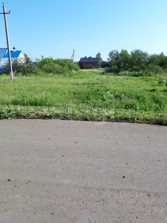 Участок в Мордовия, Рузаевский район, с. Ключарево Центральная ул. ... - Фото 1