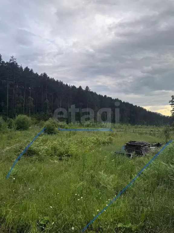 Участок в Алтай, Майминский район, с. Манжерок  (11.5 сот.) - Фото 0