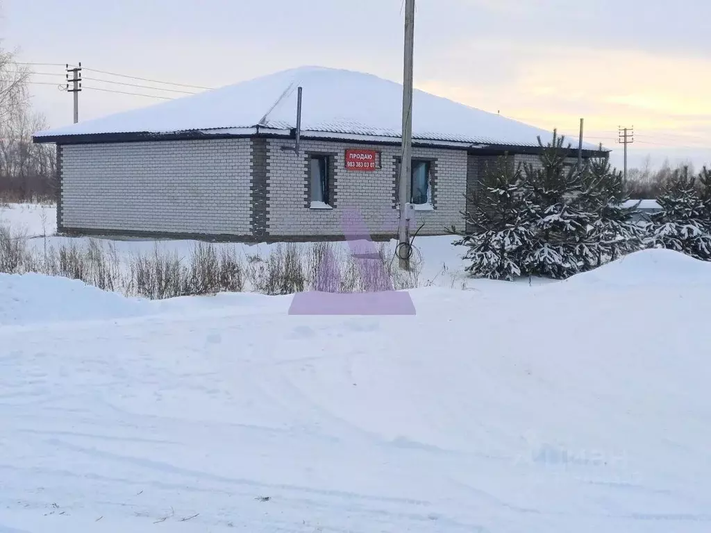 Коттедж в Алтайский край, Барнаул городской округ, пос. Бельмесево ул. ... - Фото 1