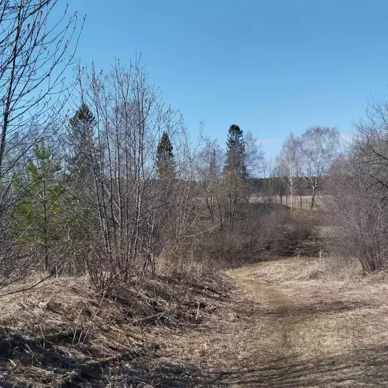 Участок в Пермский край, д. Козыбаево ул. Центральная, 32 (16.0 сот.) - Фото 0
