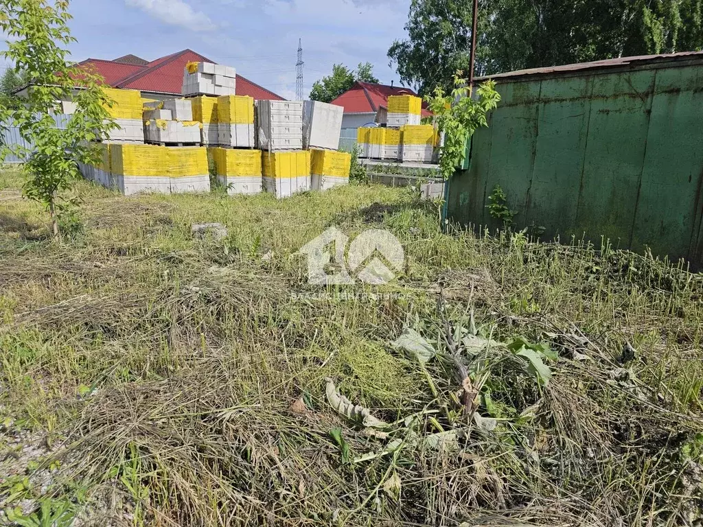 Участок в Новосибирская область, Новосибирский район, Станционный ... - Фото 0