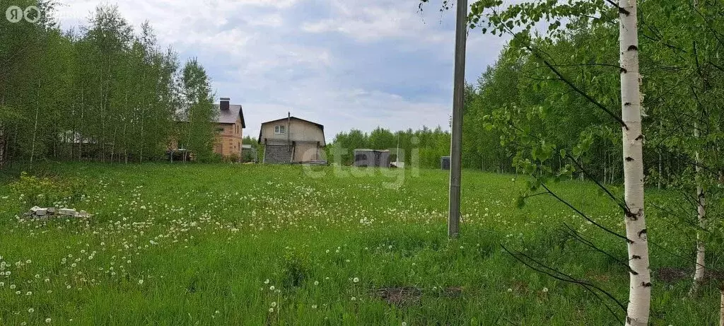 Участок в Медведевский район, Сидоровское сельское поселение, деревня ... - Фото 0