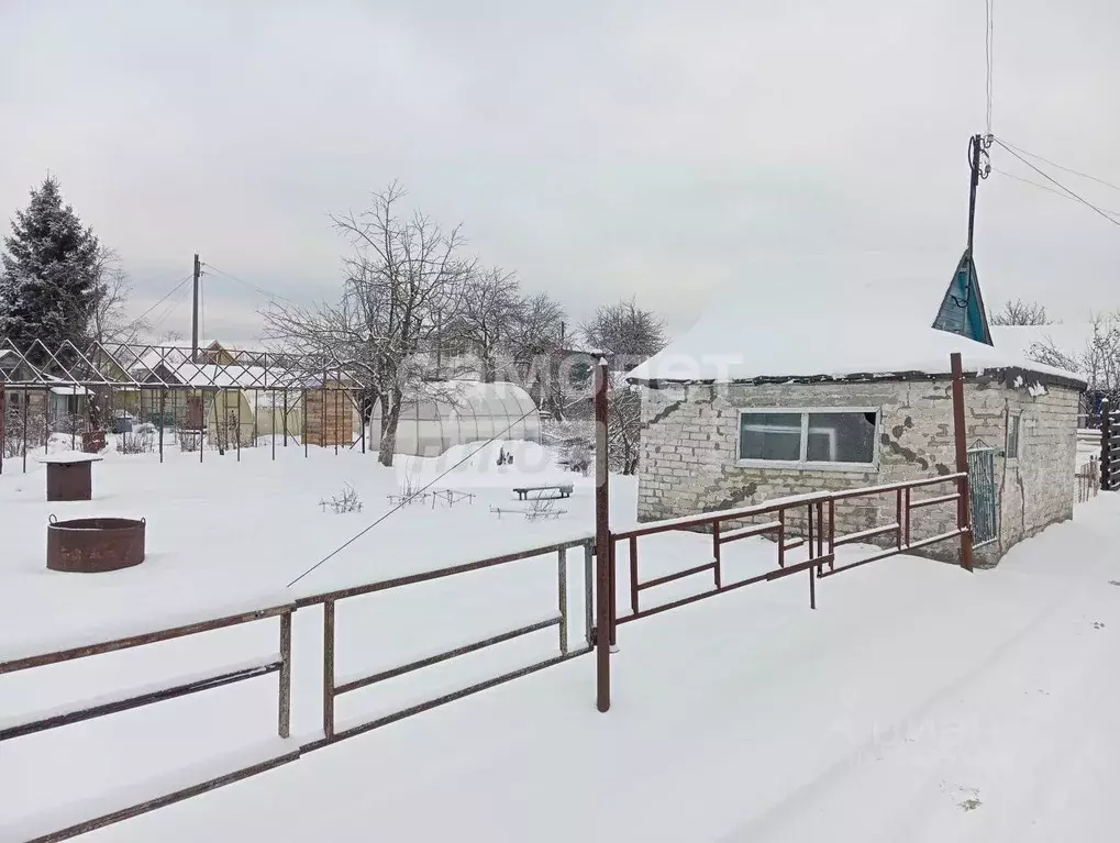 Участок в Нижегородская область, Бор ул. Тургенева (4.2 сот.) - Фото 2