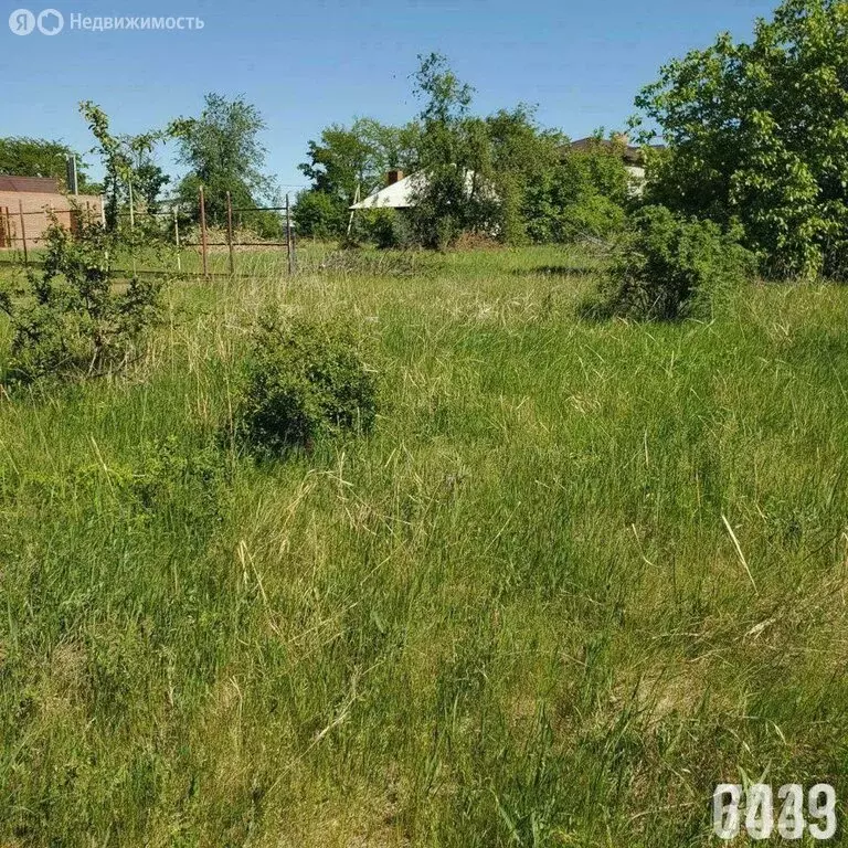 Участок в хутор Александровка, Кленовая улица (13 м) - Фото 0
