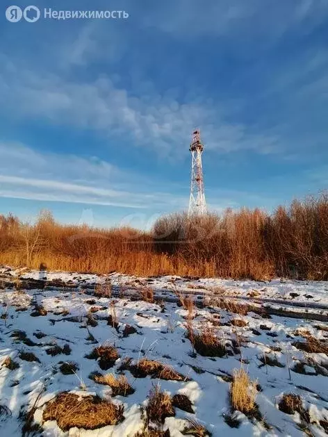 Участок в Тюменский район, село Борки (14.5 м) - Фото 0