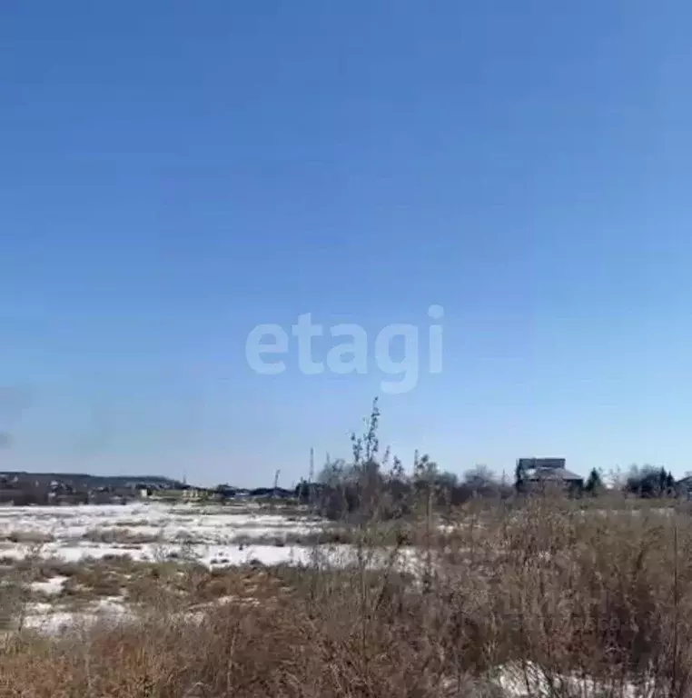 Участок в Амурская область, Благовещенский район, с. ... - Фото 1