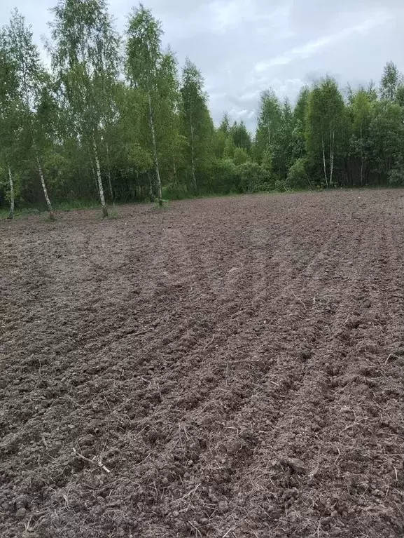 Участок 12,5 сот. (СНТ, ДНП) - Фото 0