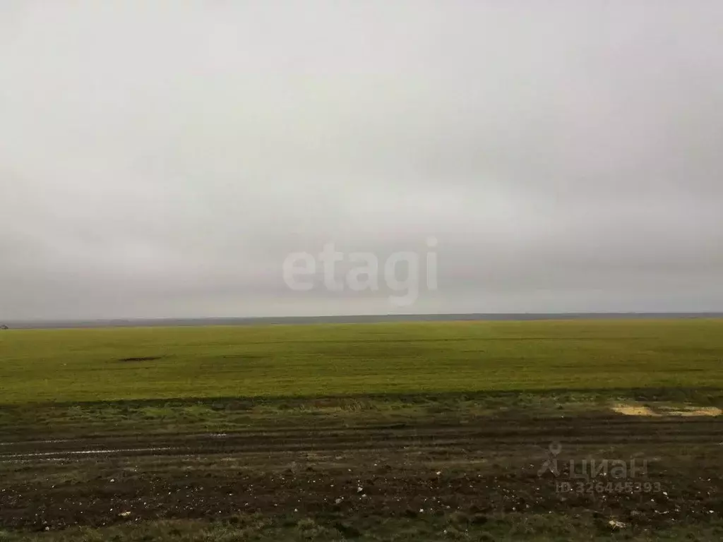 Участок в Крым, Ленинский район, Батальненское с/пос, Нептун СНТ  ... - Фото 1