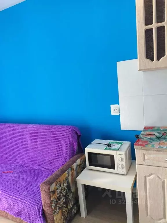 Студия Новосибирская область, Новосибирск ул. Виктора Уса, 7 (22.0 м) - Фото 2