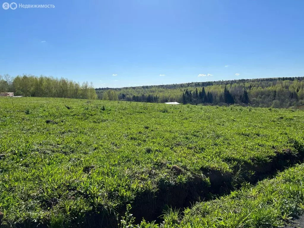 Участок в Сергиево-Посадский городской округ, территория Шубино-Яркое, ... - Фото 1