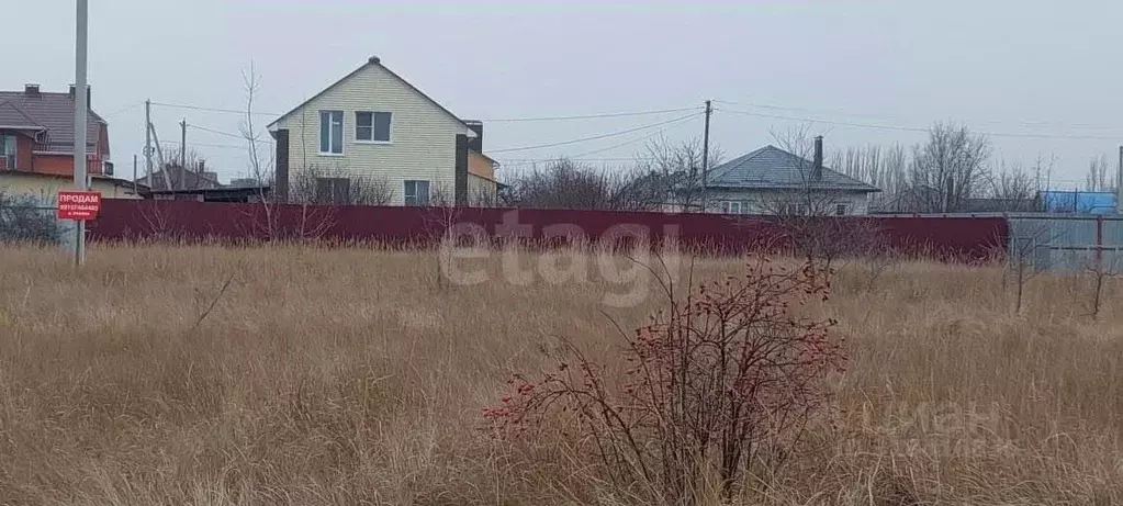 Участок в Воронежская область, Новоусманский район, Никольское с/пос, ... - Фото 1