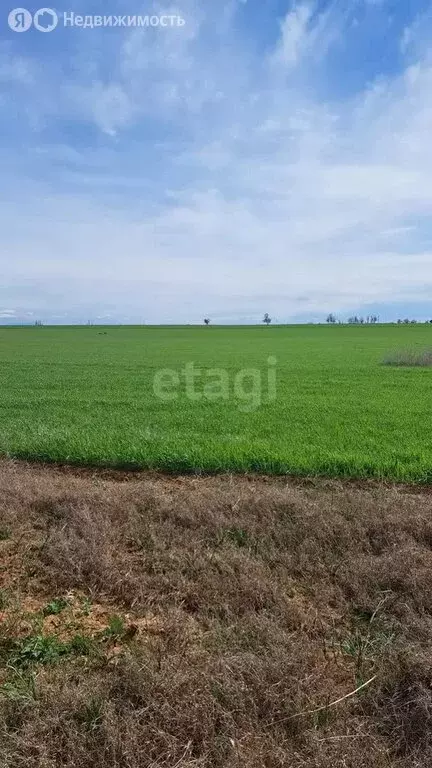 Участок в Сакский район, село Орехово (213.6 м) - Фото 0