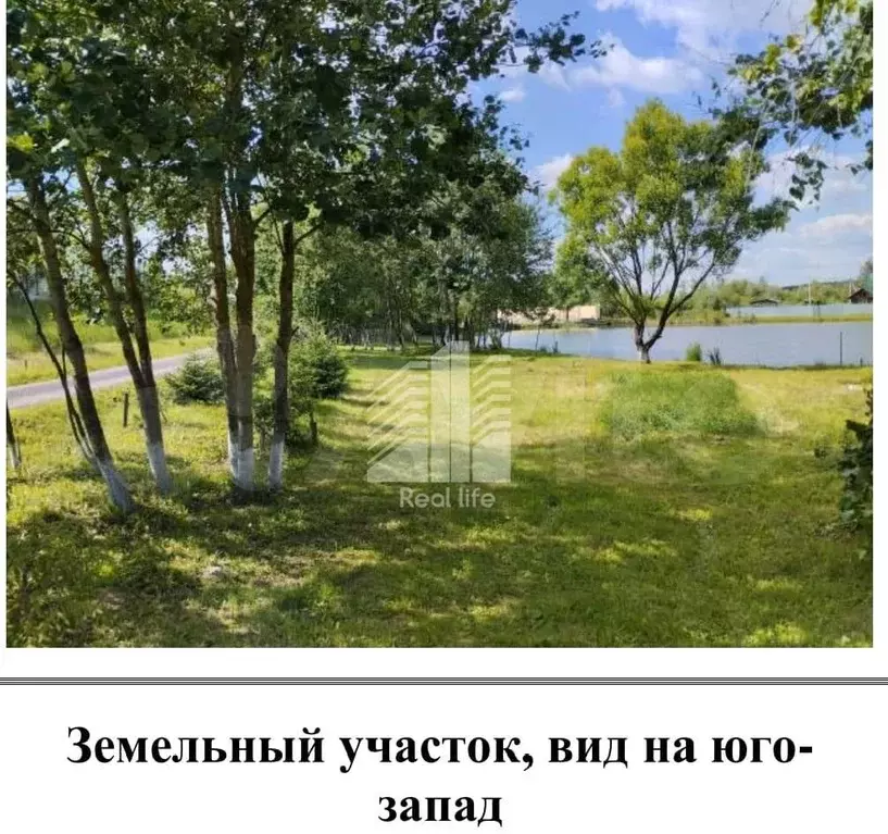 Участок 6,5 сот. (СНТ, ДНП) - Фото 1