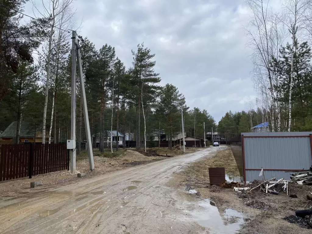 Участок в Ярославская область, Переславль-Залесский муниципальный ... - Фото 2