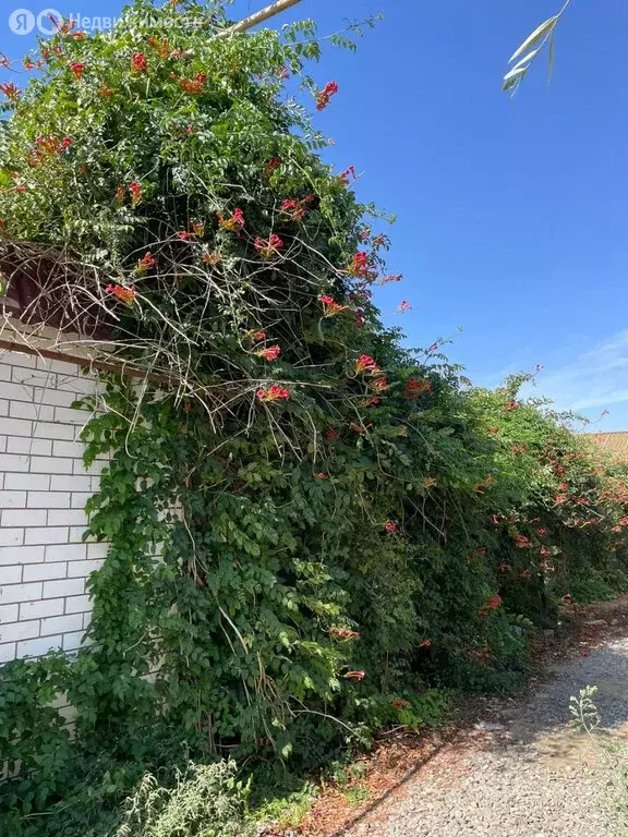 Участок в Астрахань, 2-й Литейный переулок (6 м) - Фото 2