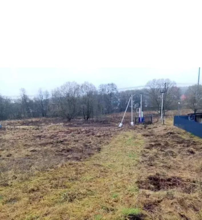 Участок в Московская область, Чехов муниципальный округ, д. Городище  ... - Фото 2