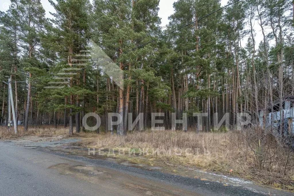 Участок в Кадниково, Заречная улица, 6 (19 м) - Фото 2