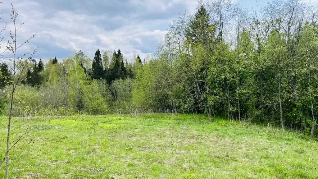 Участок в Московская область, Дмитровский муниципальный округ, ... - Фото 1