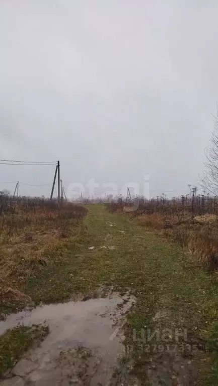 Участок в Московская область, Можайский муниципальный округ, Фисташки ... - Фото 1