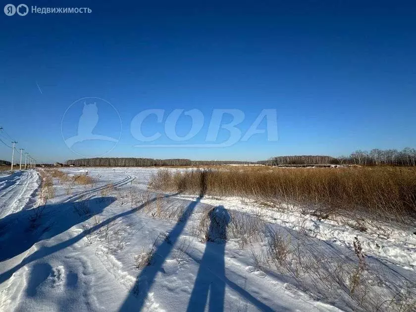 Участок в Червишевское муниципальное образование (8 м) - Фото 0