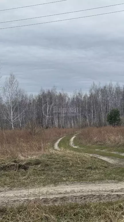 Участок в Курганская область, Кетовский муниципальный округ, д. ... - Фото 0
