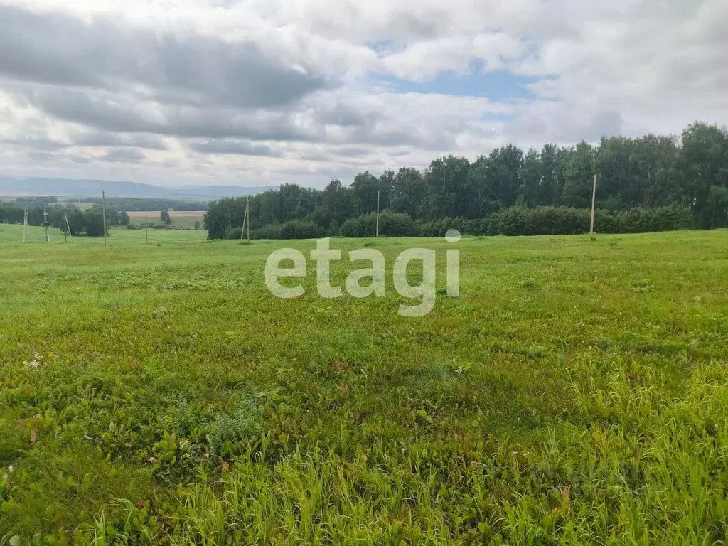 Участок в Красноярский край, Емельяново пгт  (317.6 сот.) - Фото 1