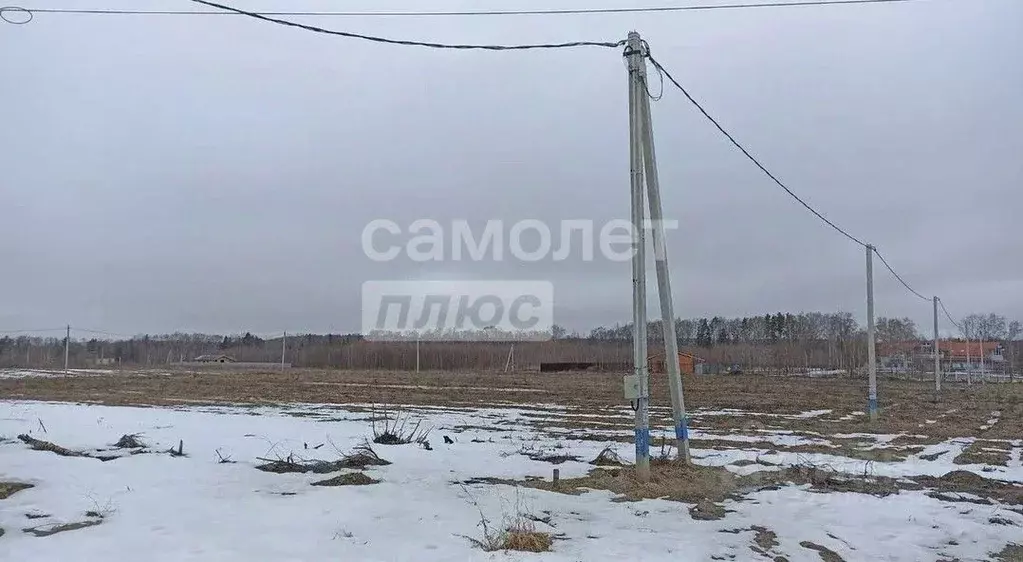 Участок в Московская область, Солнечногорск городской округ, д. ... - Фото 1