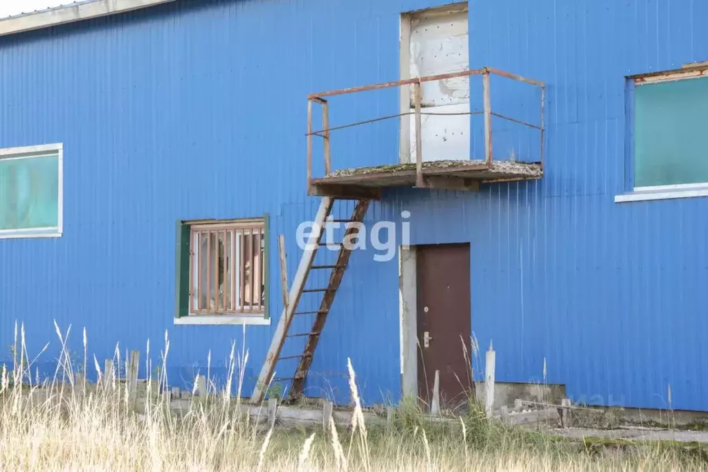 Помещение свободного назначения в Владимирская область, Петушинский ... - Фото 0