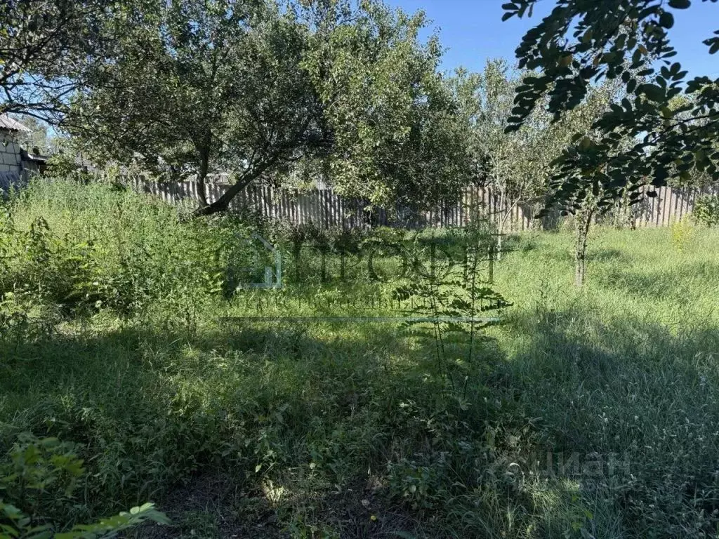 Участок в Белгородская область, Поселок Чернянка городское поселение, ... - Фото 1