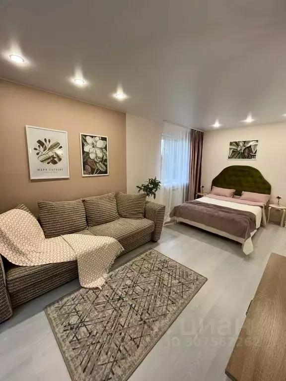 1-к кв. Калининградская область, Калининград Московский просп., 136 ... - Фото 2