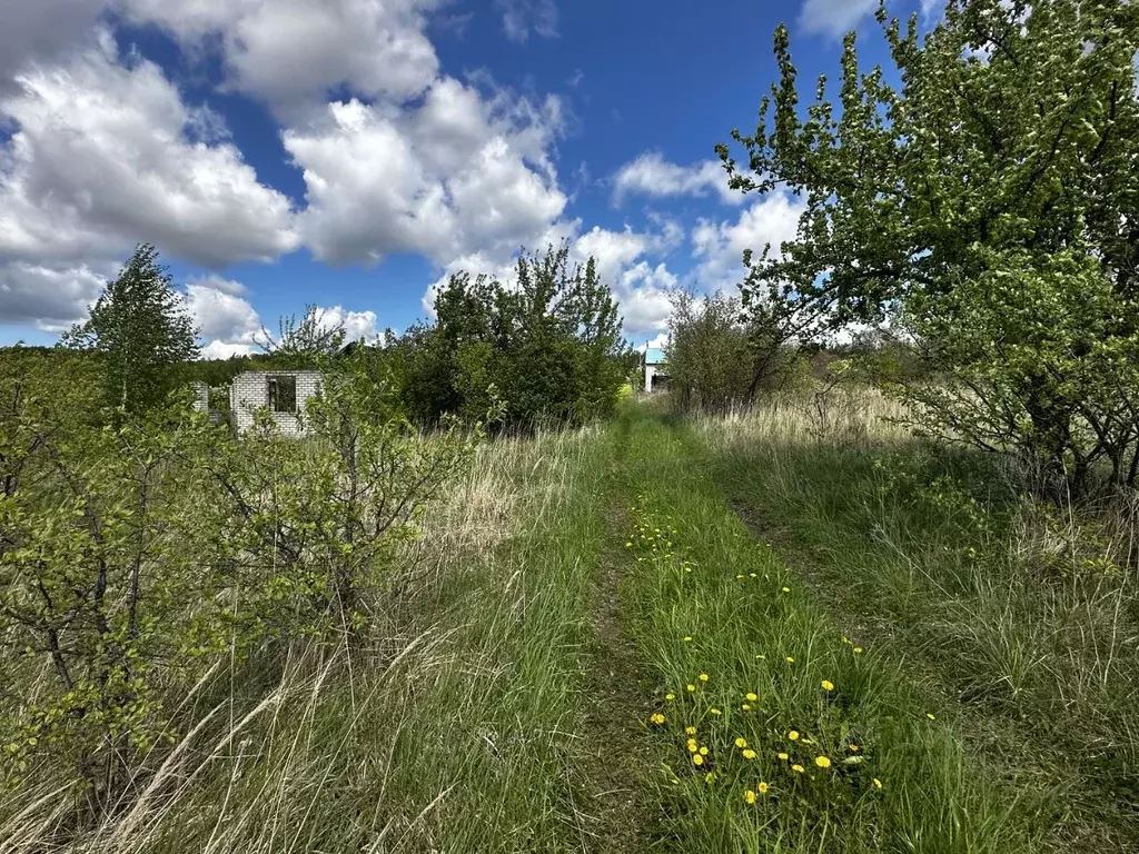 Участок в Нижегородская область, Нижний Новгород Приозерье ... - Фото 1