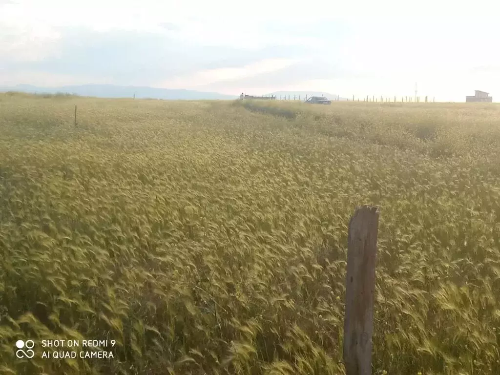 Участок в Береговое, улица Дружбы (10 м) - Фото 1