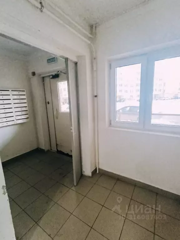 Студия Московская область, Люберцы городской округ, д. Островцы ул. ... - Фото 1