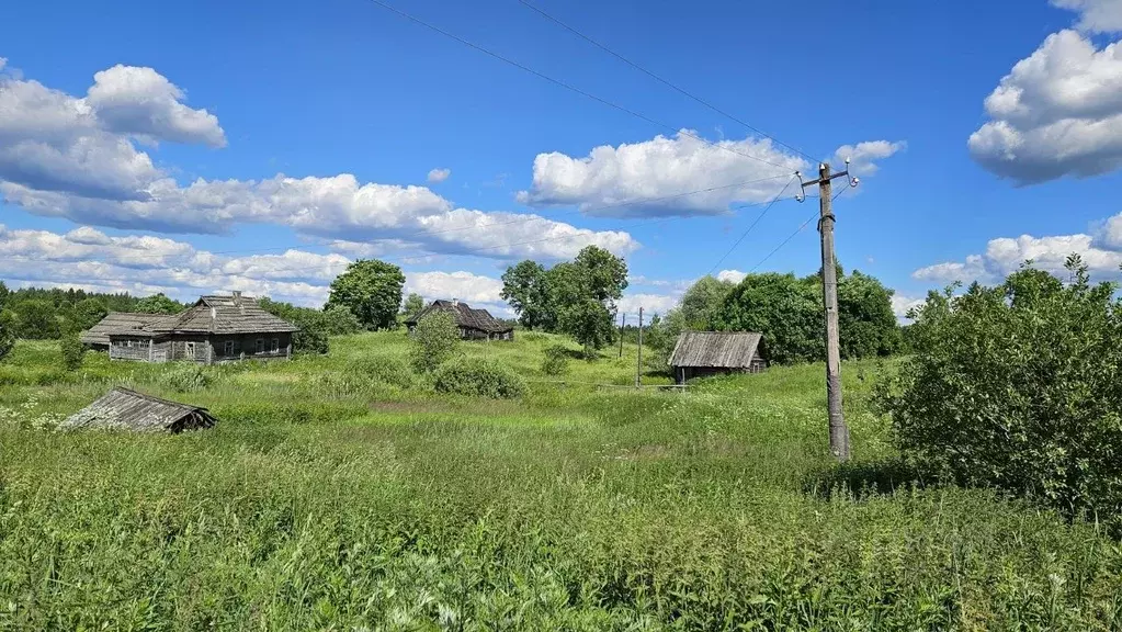 Участок в Новгородская область, Демянский муниципальный округ, д. ... - Фото 2