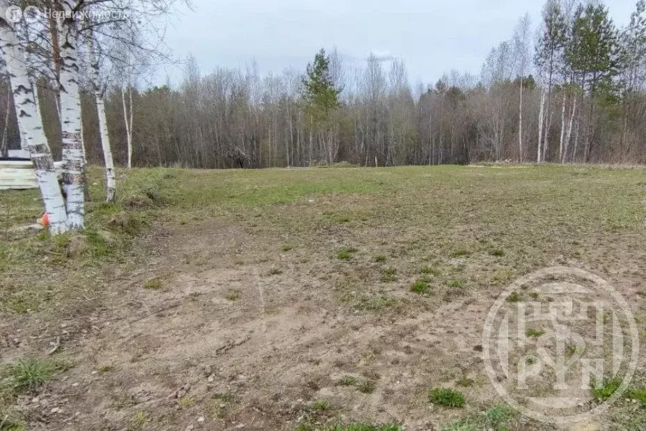 Участок в Лужский район, Заклинское сельское поселение, деревня ... - Фото 2