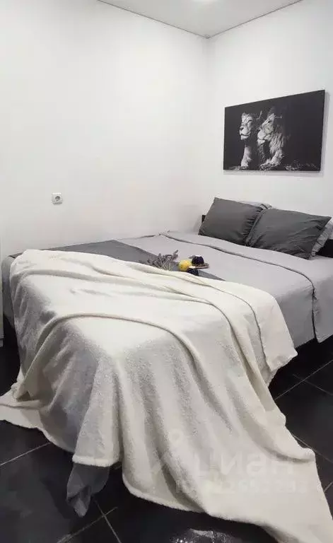 2-к кв. Новосибирская область, Бердск Северный мкр, 1 (38.0 м) - Фото 2