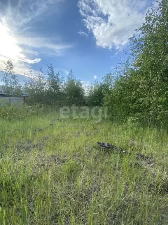 Участок в Воронежская область, Рамонский район, Новоживотинновское ... - Фото 1