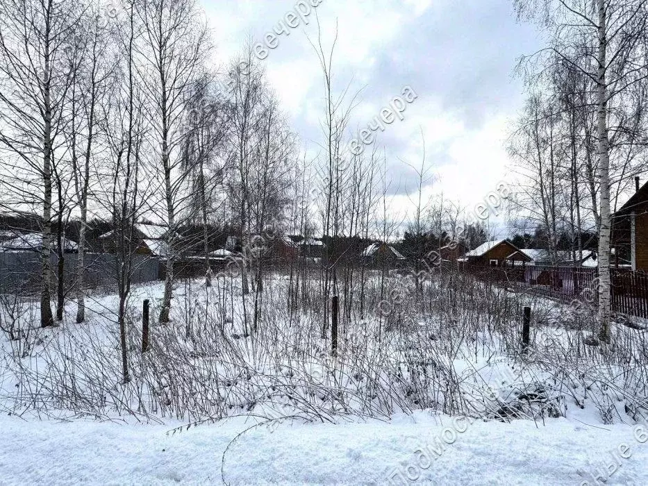 Участок в Московская область, Одинцовский городской округ, д. Сальково ... - Фото 1