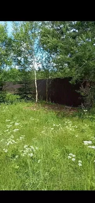 Участок в Московская область, Щелково городской округ, д. Малые ... - Фото 2