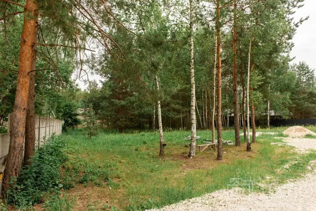 Участок в Рязанская область, Спасский район, Панинское с/пос, д. ... - Фото 2