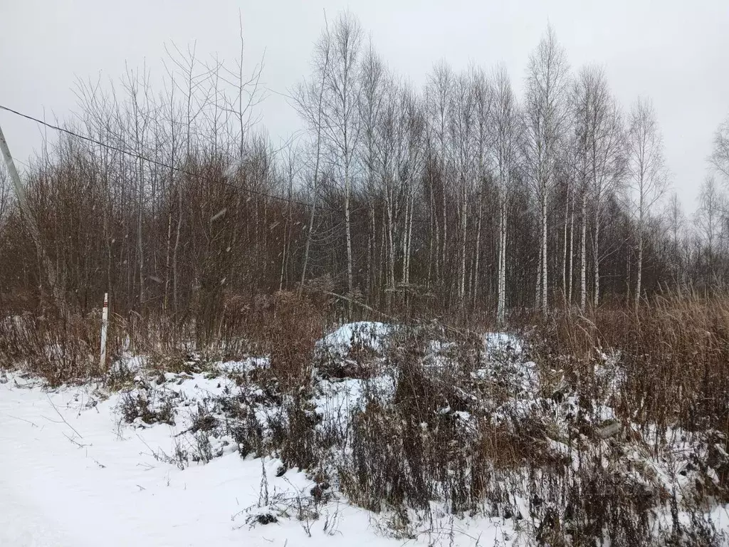 Участок в Нижегородская область, Богородский муниципальный округ, д. ... - Фото 0