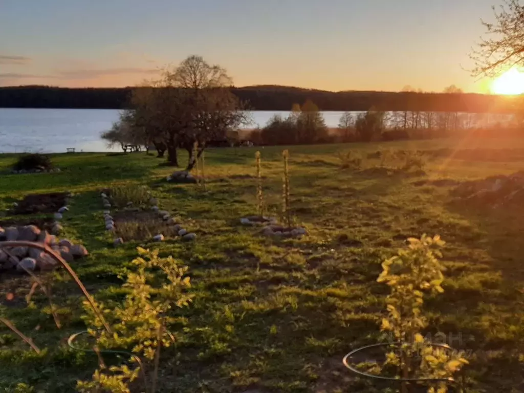 Участок в Псковская область, Новоржевский муниципальный округ, д. ... - Фото 1