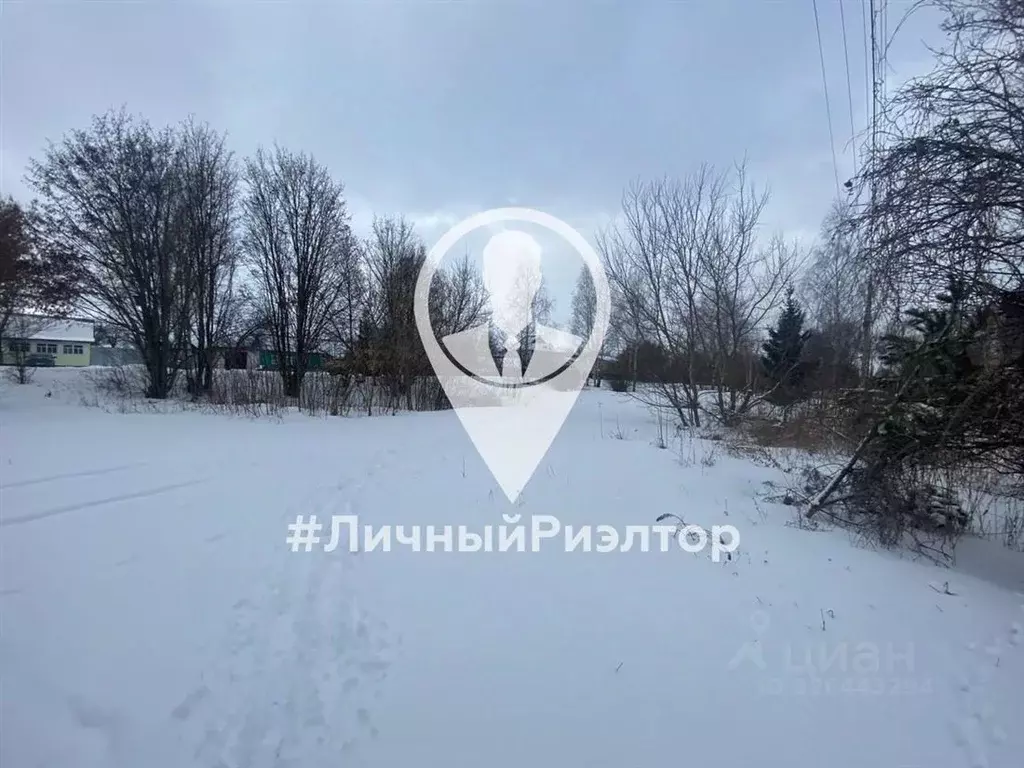 Участок в Рязанская область, Скопинский муниципальный округ, с. ... - Фото 2