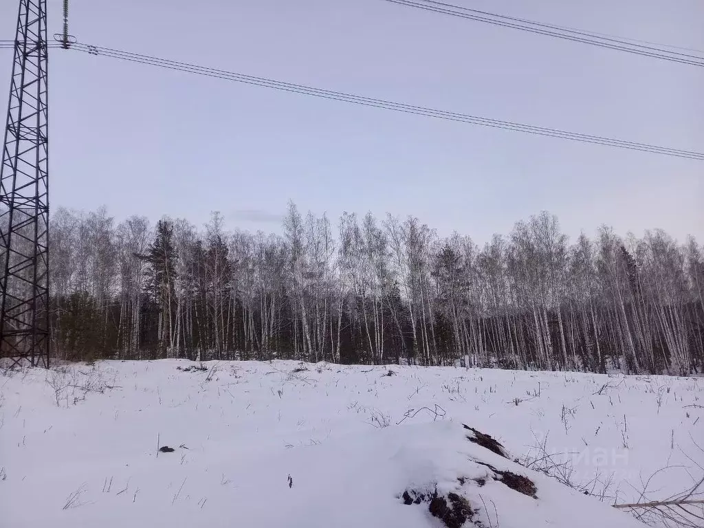 Участок в Свердловская область, Екатеринбург Елизавет жилрайон,  (7.0 ... - Фото 0