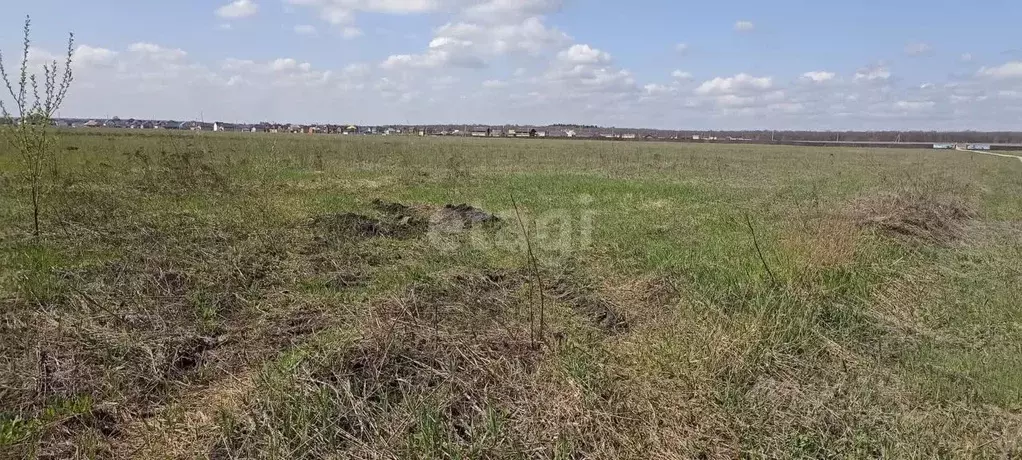 Участок в Липецкая область, Липецкий муниципальный округ, с. Косыревка ... - Фото 1