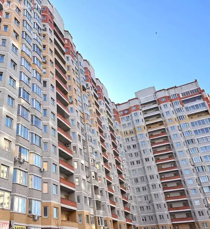 1-комнатная квартира: Брянск, проспект Станке Димитрова, 67 (47 м) - Фото 2