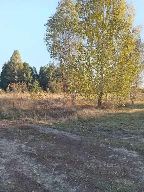 Участок в Самарская область, Сызранский район, с. Старая Рачейка ... - Фото 2